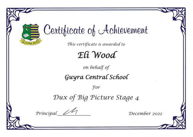 Dux, Big Picture Stage 4 — scanned certificate
