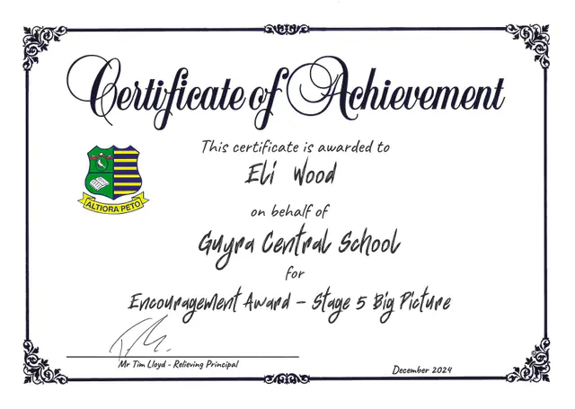 Encouragement Award, Stage 5 Big Picture — scanned certificate