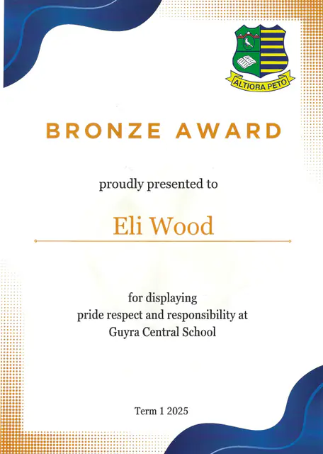 Bronze Award, pride, respect and responsibility — scanned certificate
