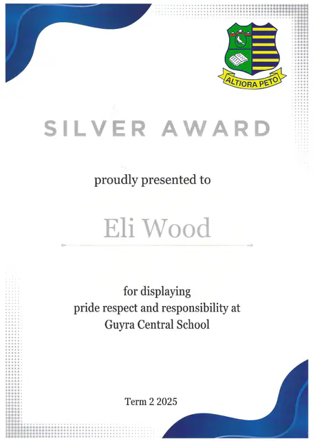 Silver Award, pride, respect and responsibility, Term 2 2025 — scanned certificate