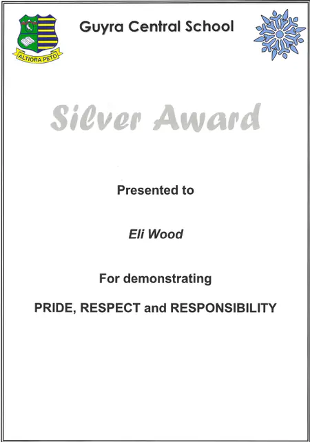 Silver Award, pride, respect and responsibility, undated — scanned certificate